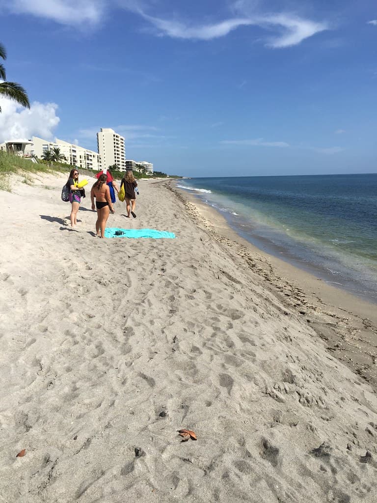 PrepareToSnorkel