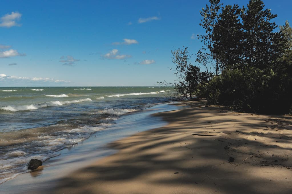 Saginaw Bay Breakers