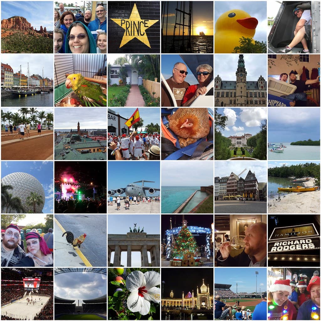 2016 in Pictures