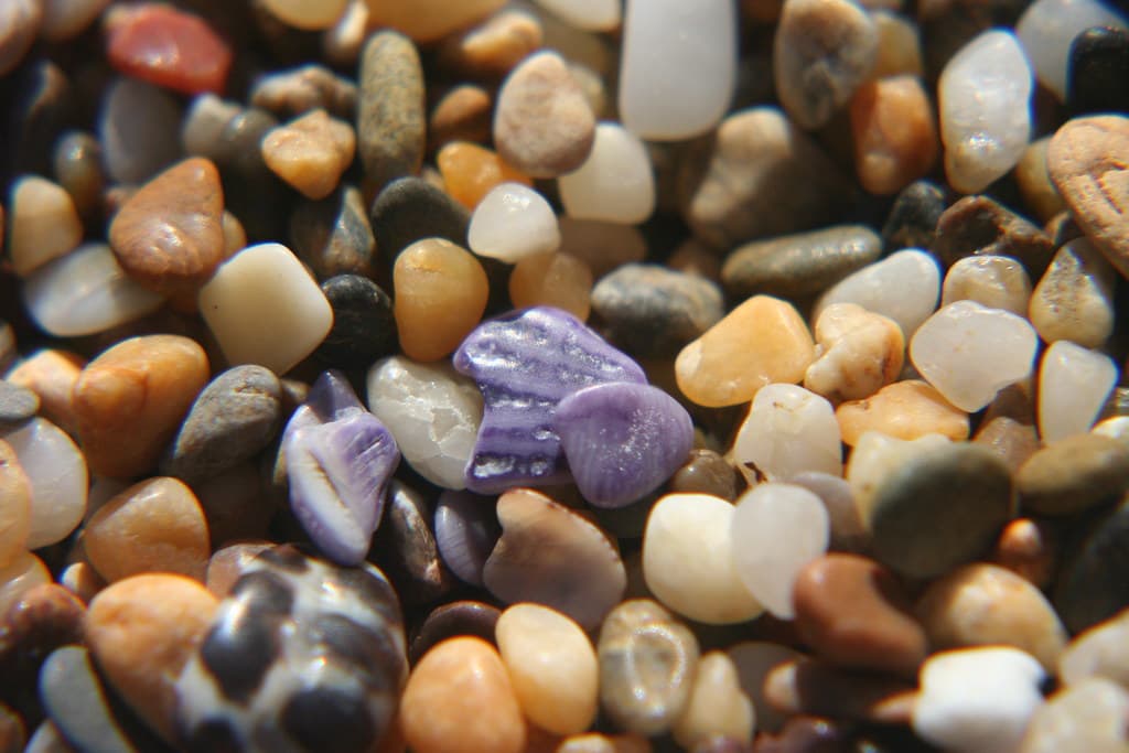 purple pebbles