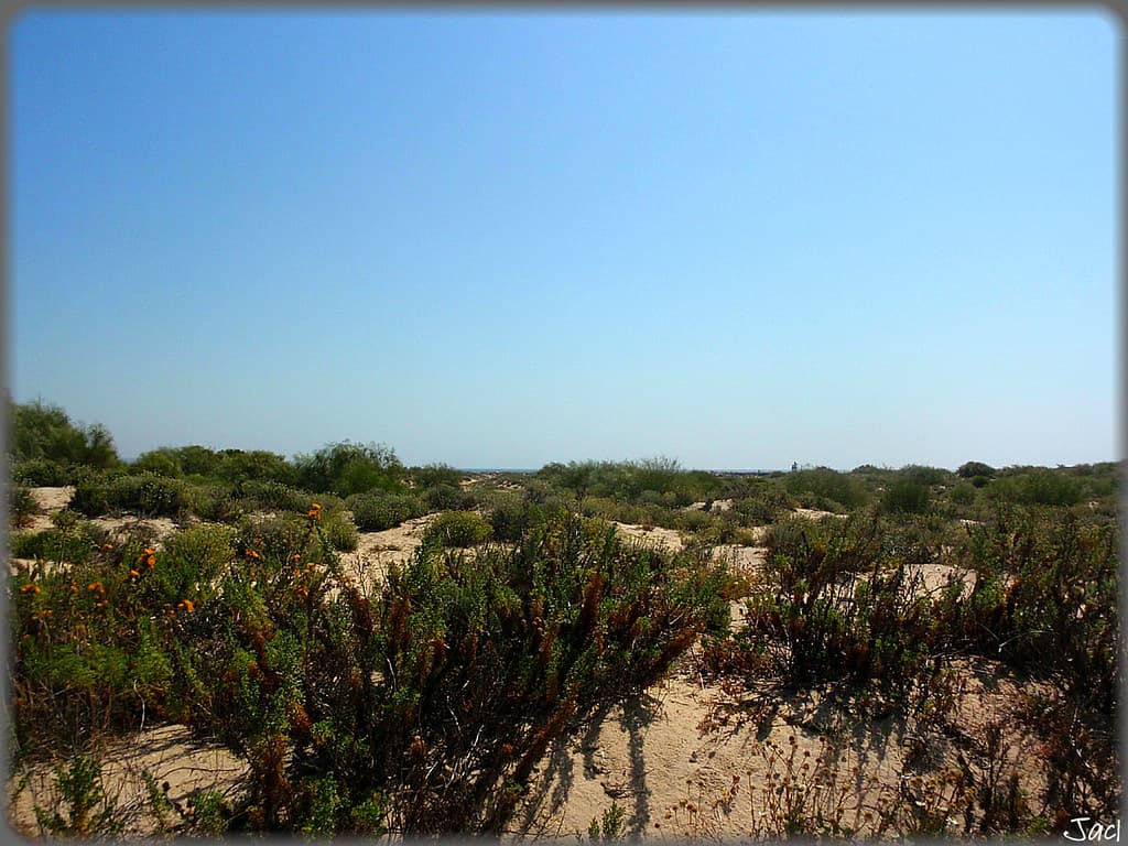 Isla de Tavira (Portugal)