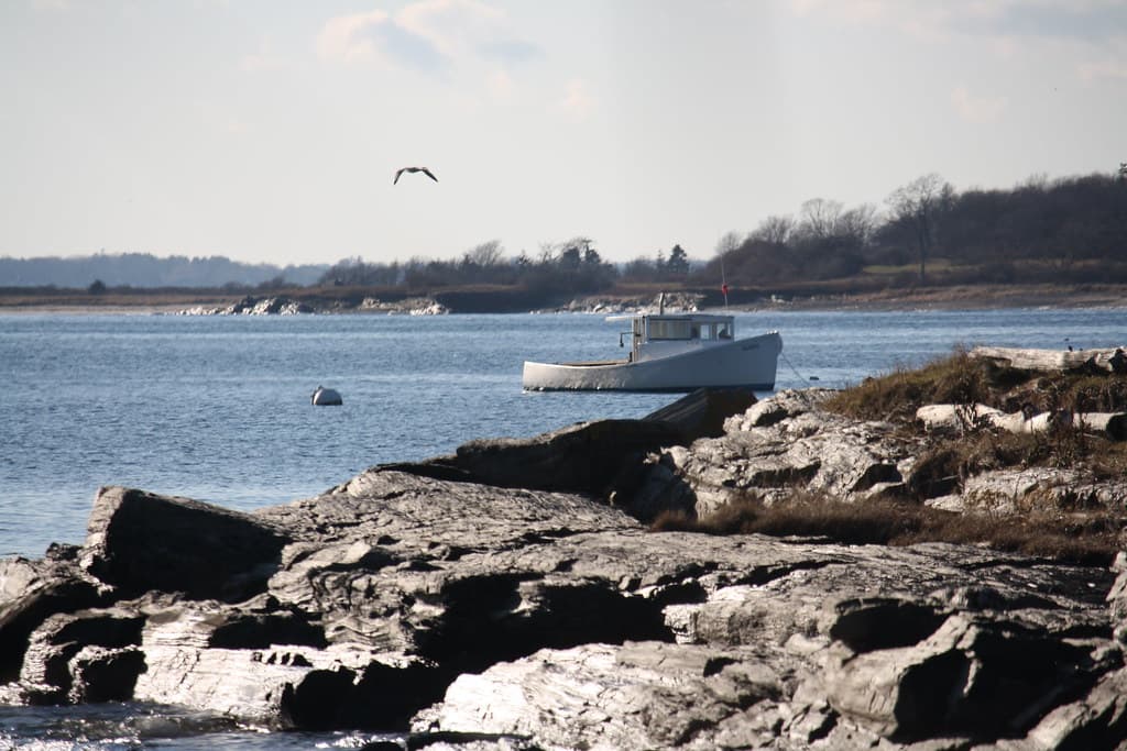KH-KETTLE COVE-IMG_2360