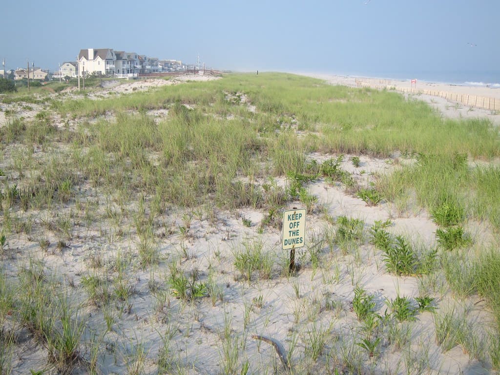 Keep Off The Dunes