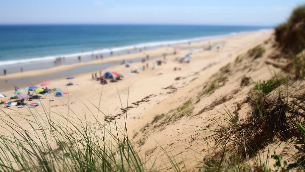 LeCount Hollow Beach