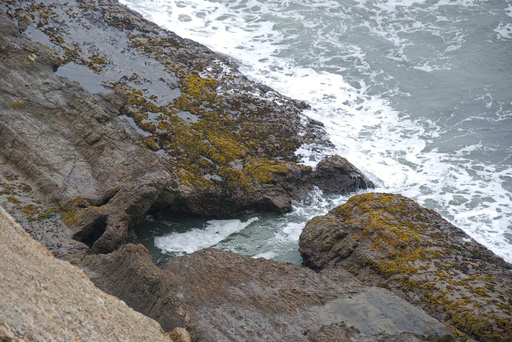 Duxbury Reef