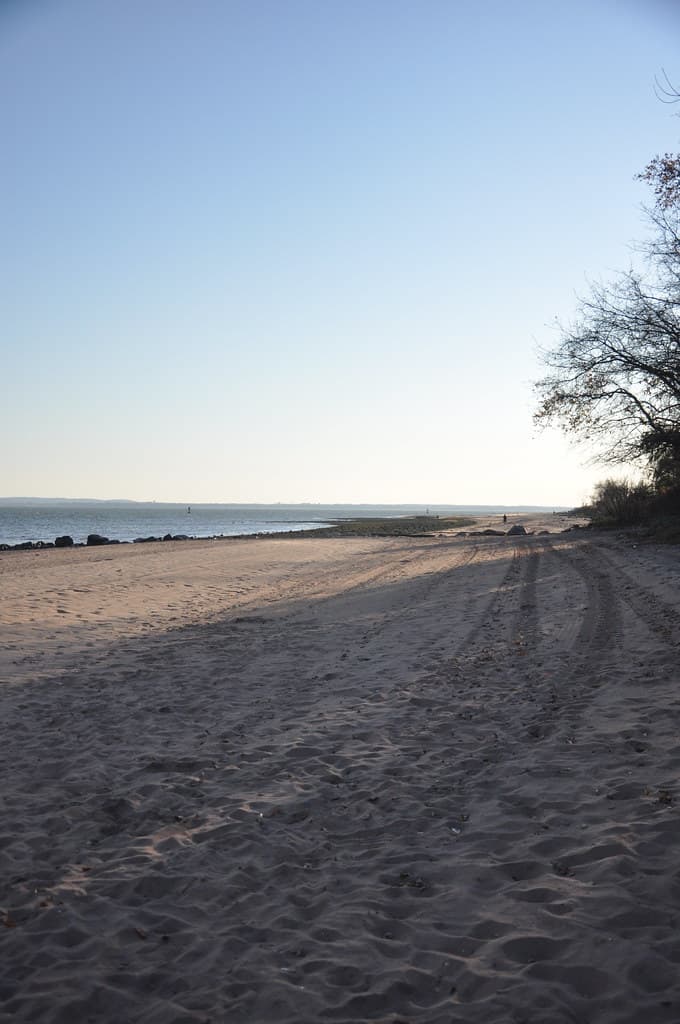 Beach at Wolfe's Pond Park