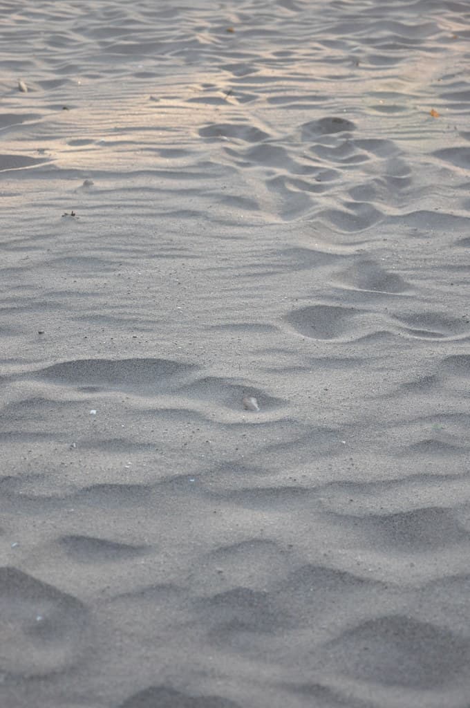 Beach at Wolfe's Pond Park