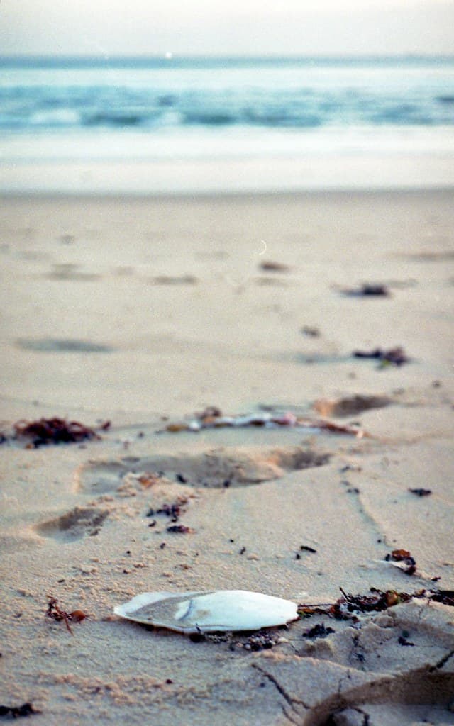 Seaside...