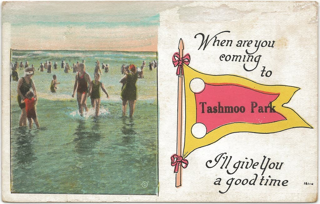 SE Harsens Island St Clair Flats MI Beach Babes at Tashmoo Park Beach near Tashmoo Ferry Docks Card Series 838 Summer Resident Card Used but Unsent