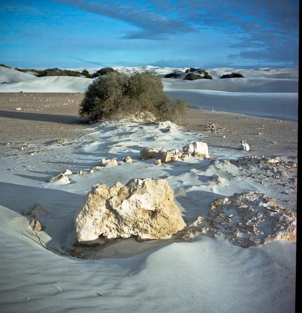 Dunes, Lake Newland Conservation Park