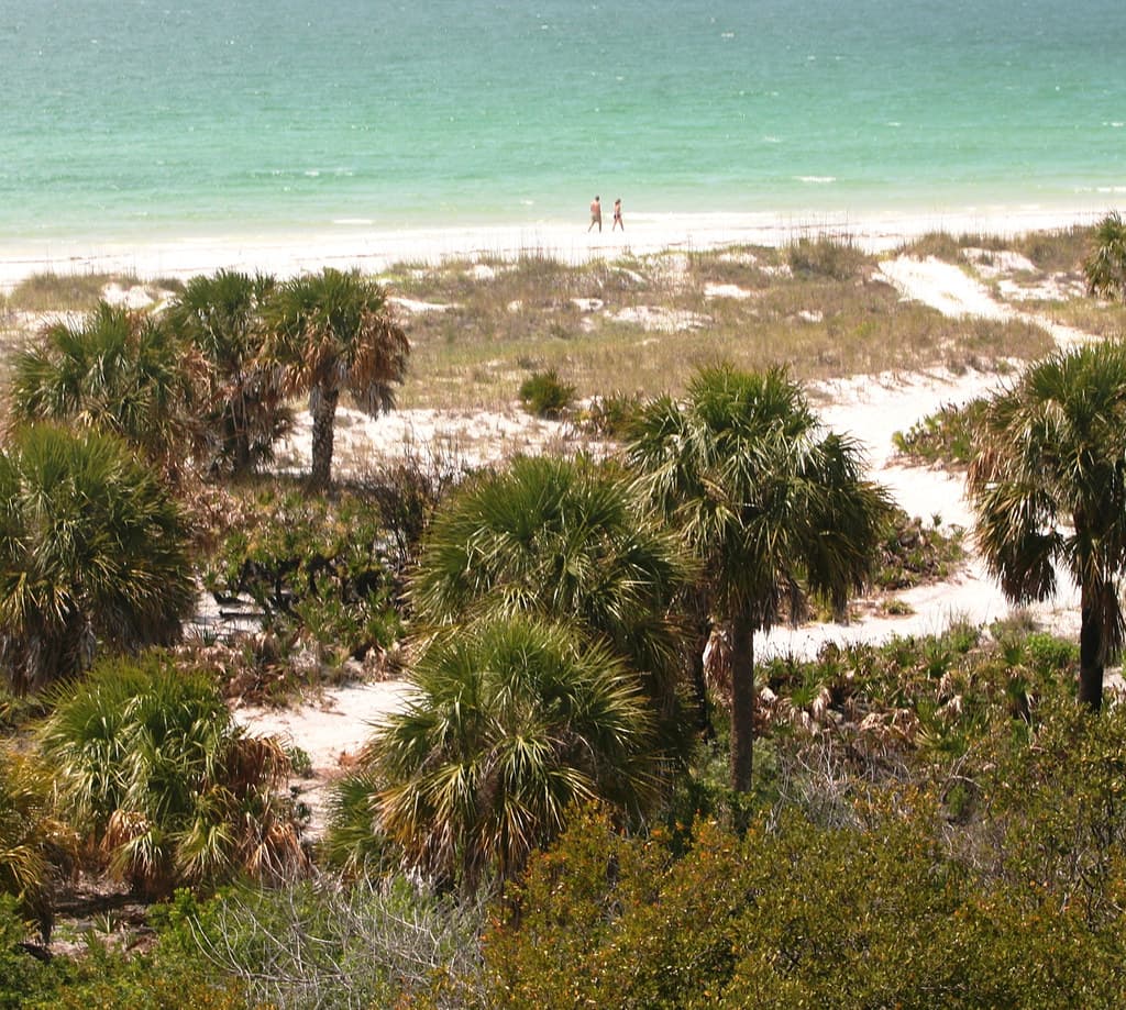Caladesi Island Beach
