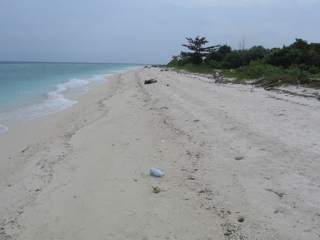 Turtle beach North pompom island
