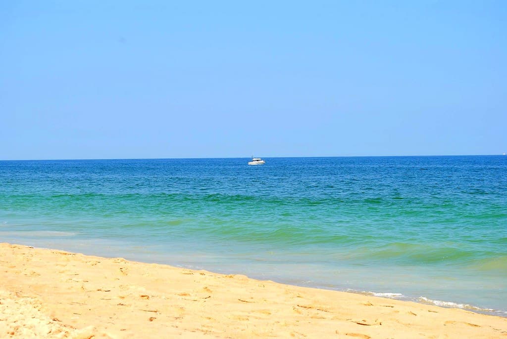 A day at the Fenwick Island State Park beach 20aug2011