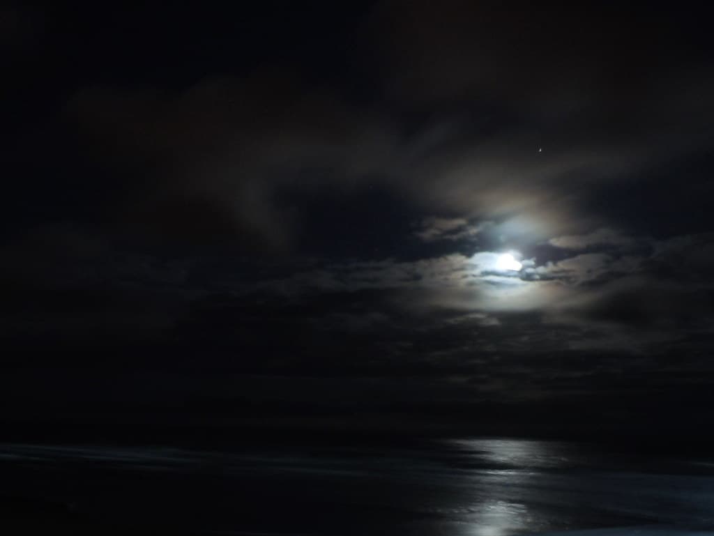 Night