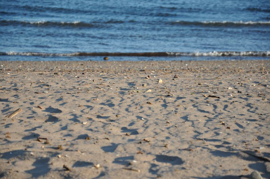Beach at Wolfe's Pond Park