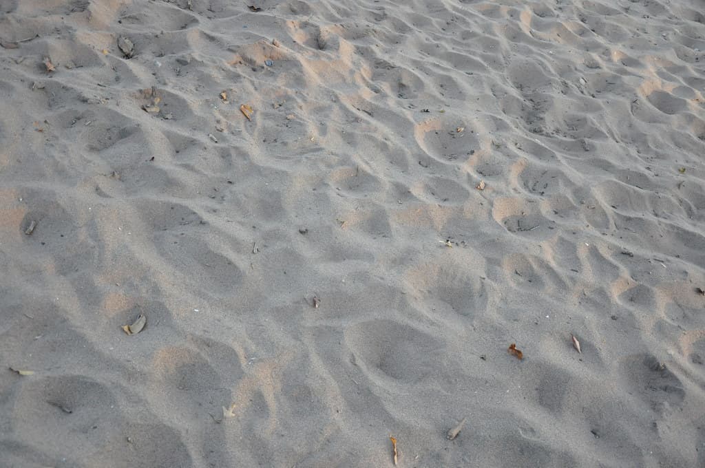 Beach at Wolfe's Pond Park