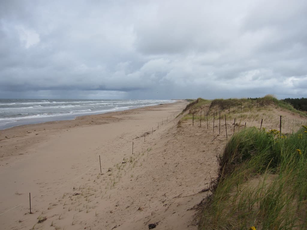 Stanhope Beach