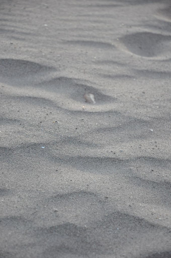 Beach at Wolfe's Pond Park