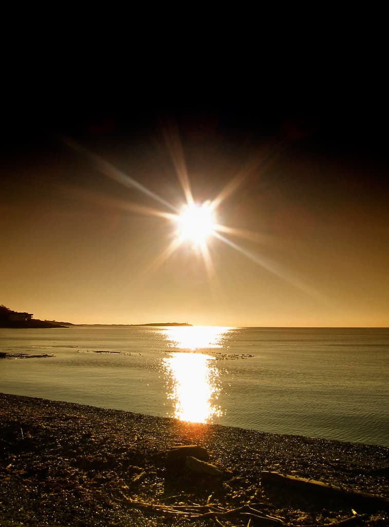 Light is the first of the painters.  There is no object so foul, that intense light will not make it beautiful.