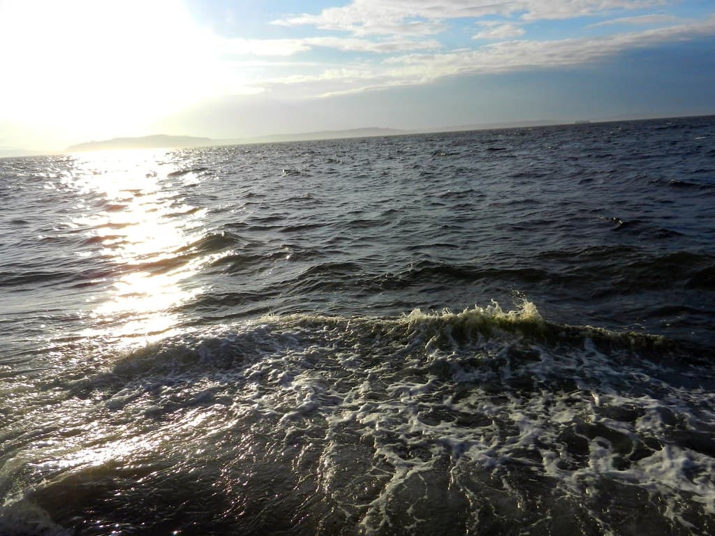Joyful green water, Alki Beach, Puget Sound, Seattle, Washington, USA