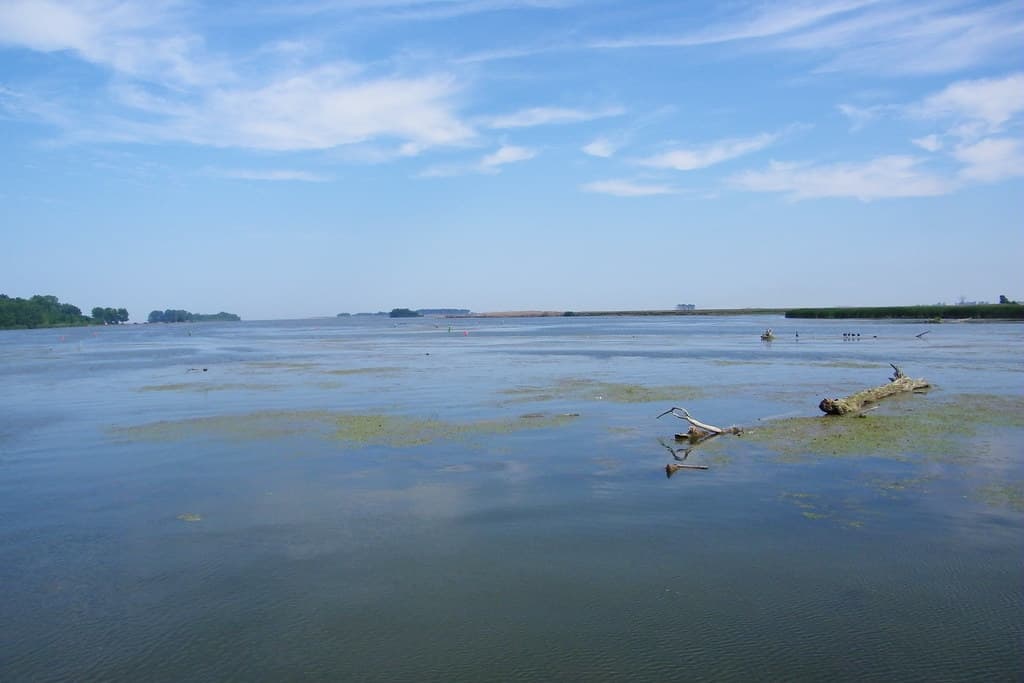Erie State Game Area Beach