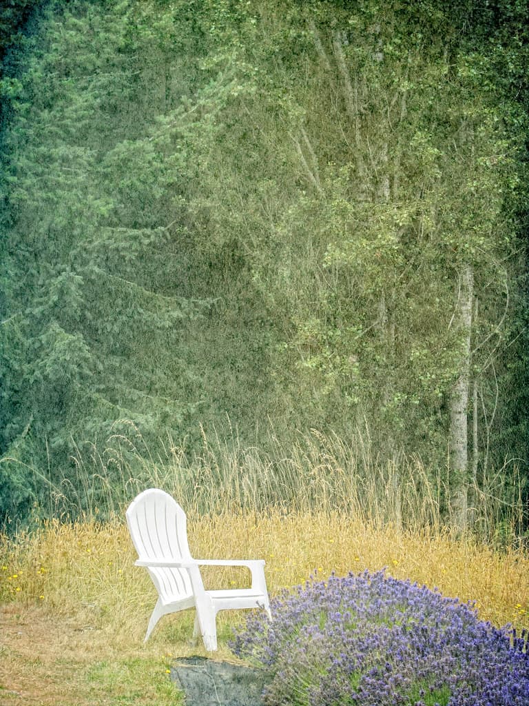 please sit and enjoy the Lavender farm