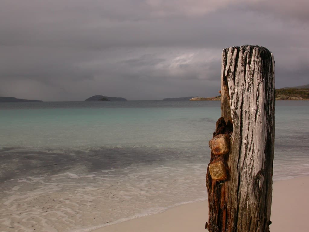 Wreck of the Elvie