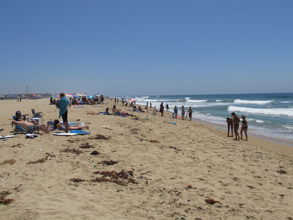 Bolsa Chica State Beach, Huntington Beach, California