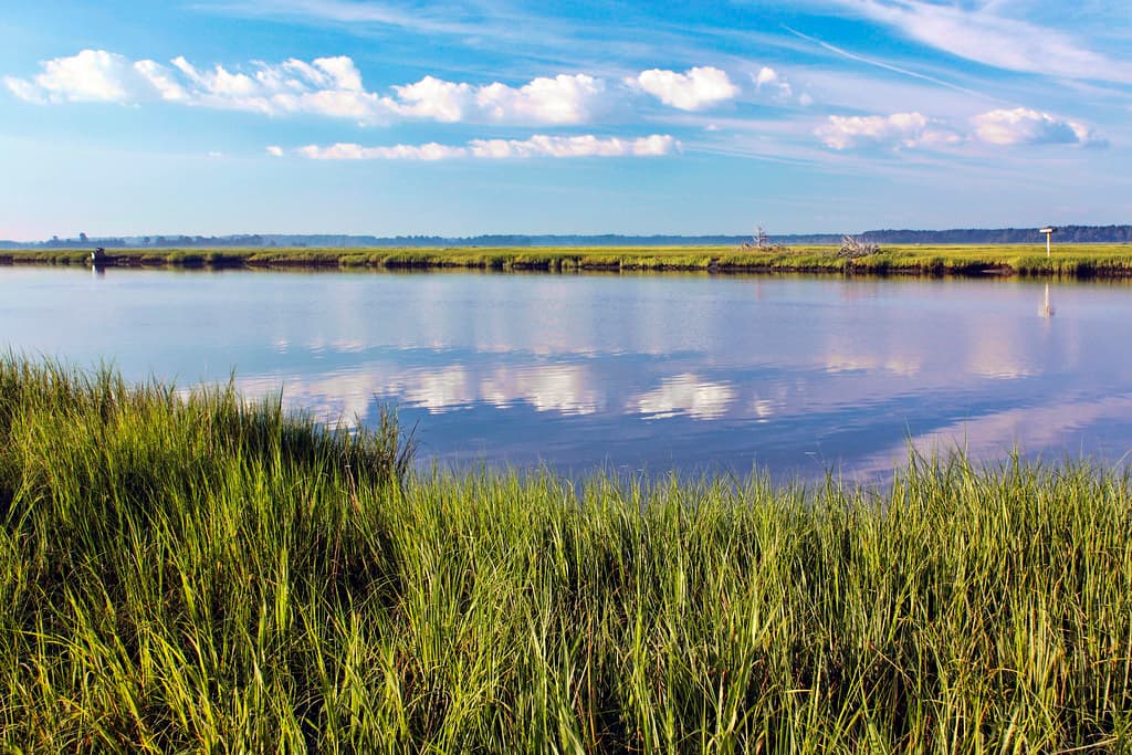 Broadkill River