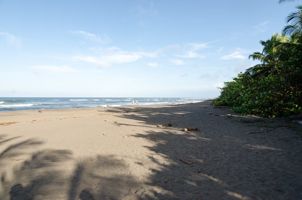 Playa Caño Palma