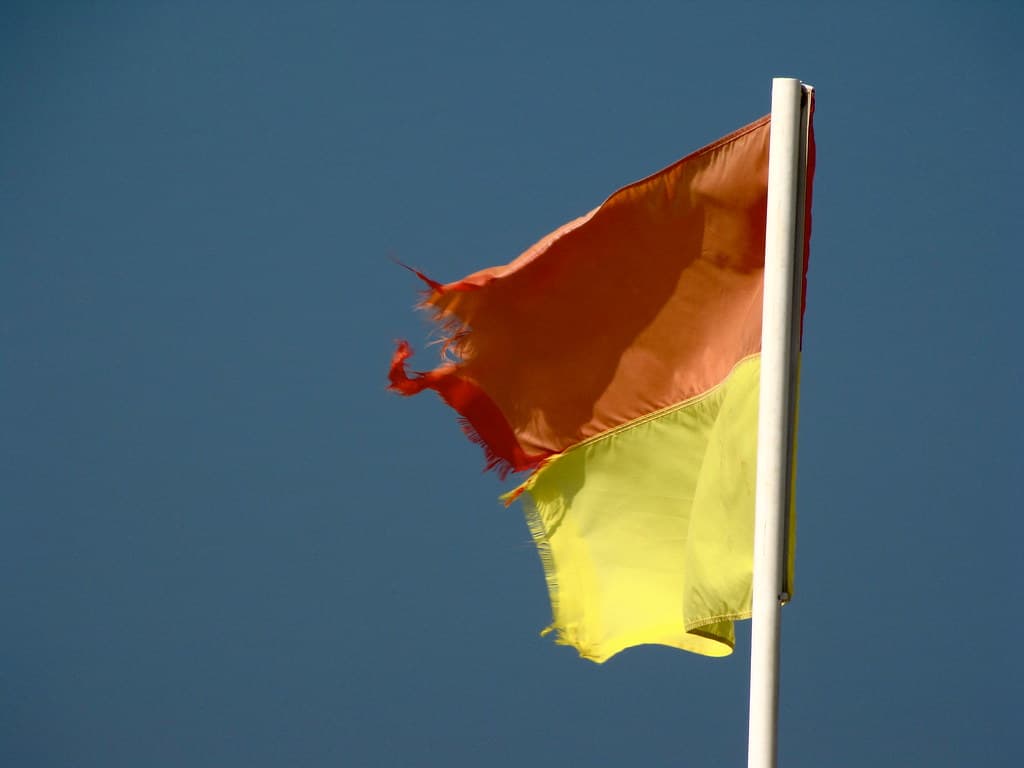 Lifeguard Flag