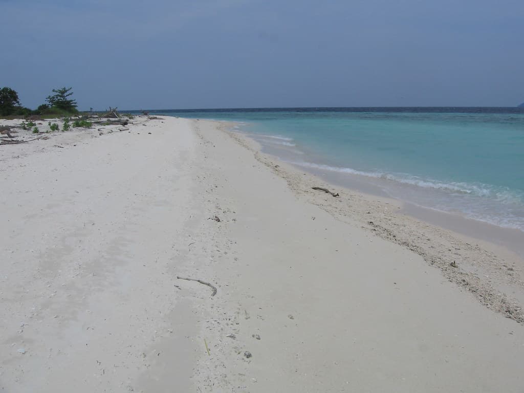 pompom island (6)