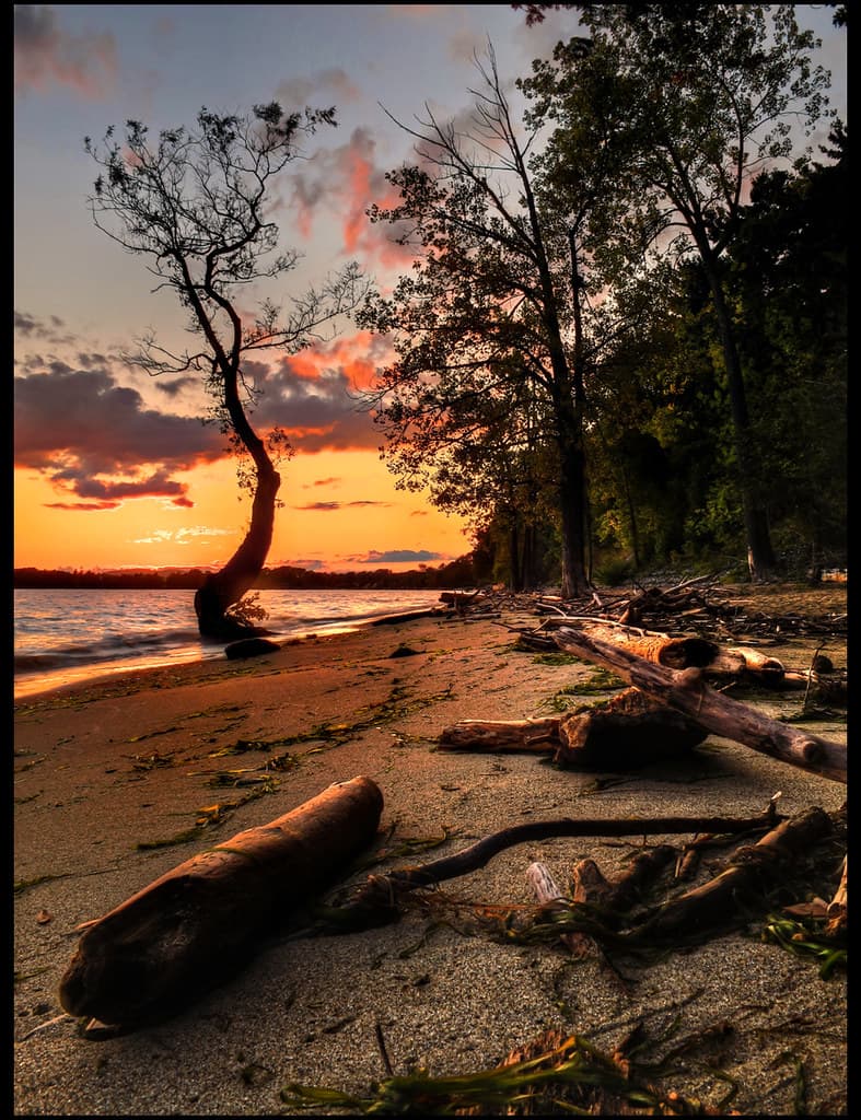 Leddy Park Beach