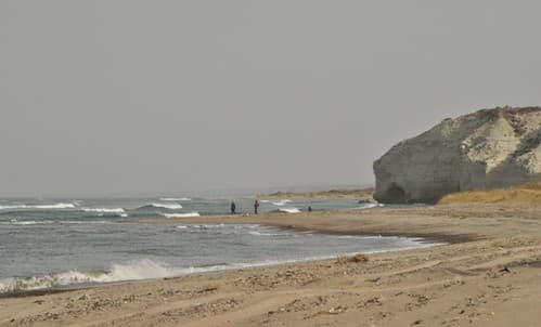 DSC_3375