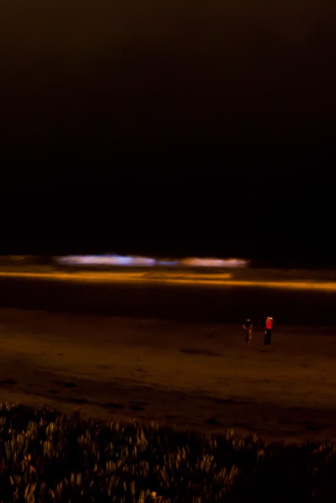 Seagrove Beach view 2
