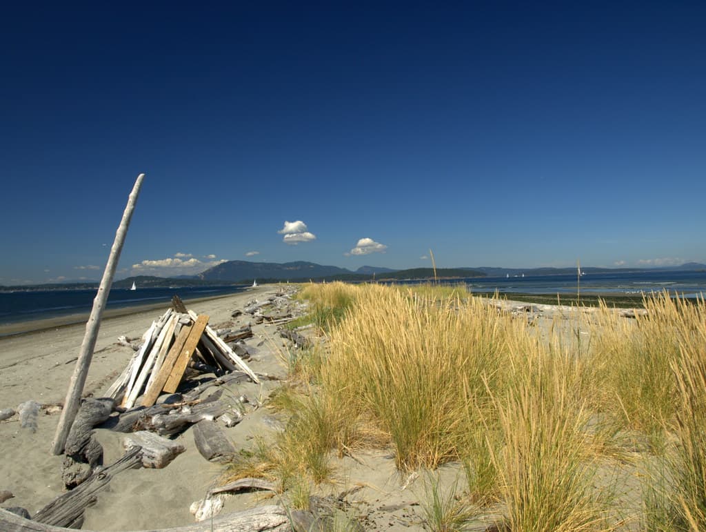 Sidney Spit Beach — photo by el dubb