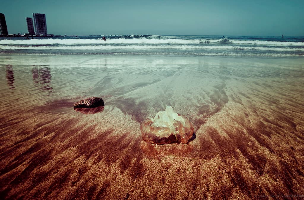 Playa Huayquique — photo by Difusa