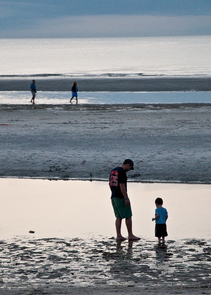 Tidal Pools on Mayflower Beach