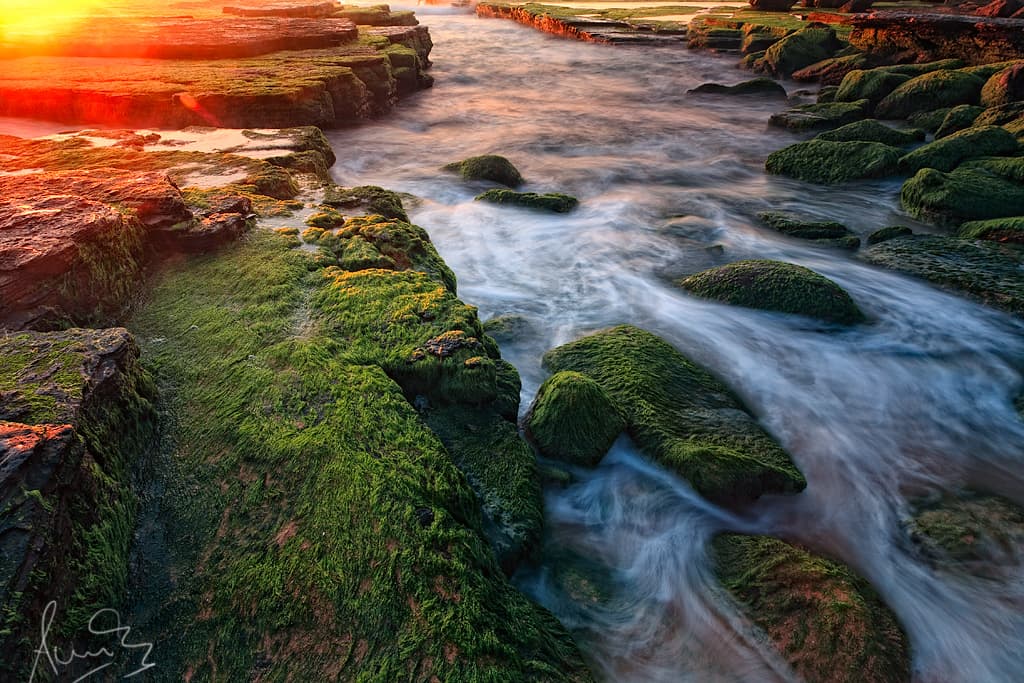 Turimetta and its vivid greens!