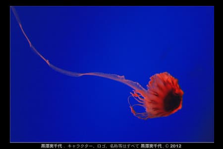 クラゲ [I]／ Jellyfish [I]
