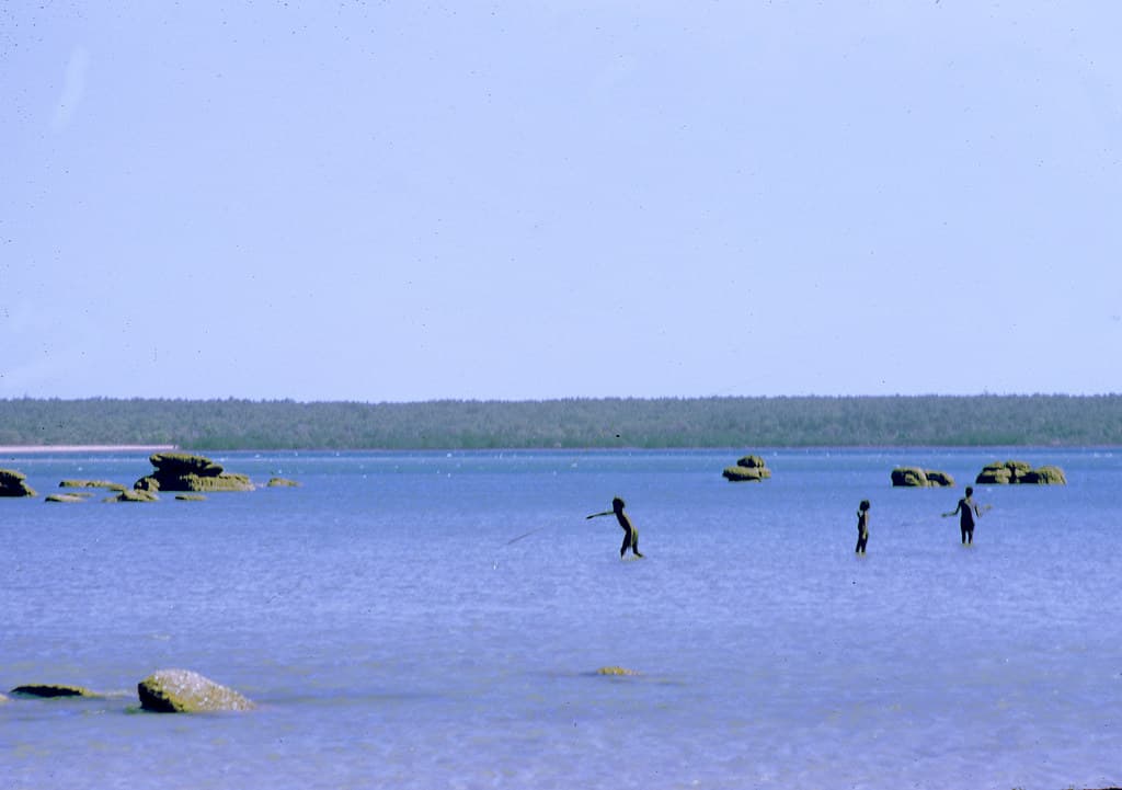 Elcho Island - Boys spearing fish