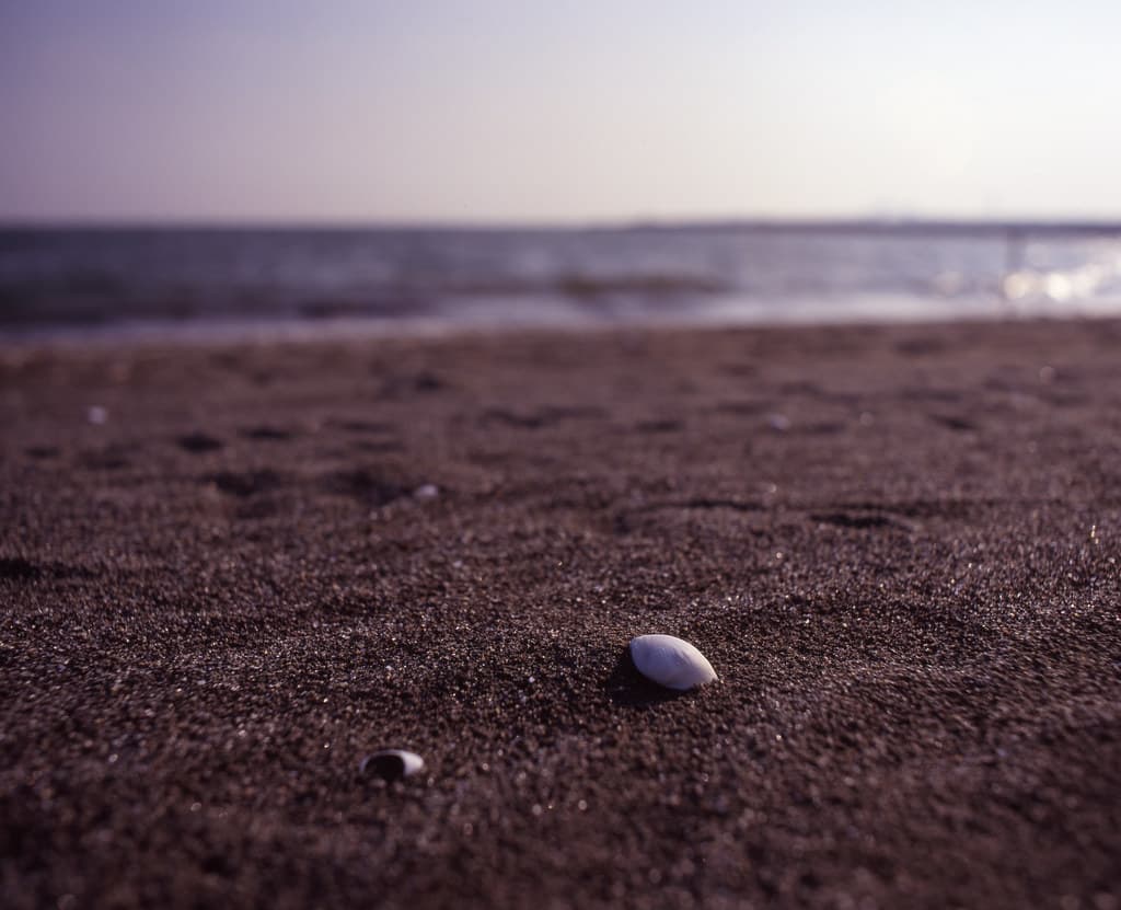 Hinode Seaside Park Beach — photo by mrhayata