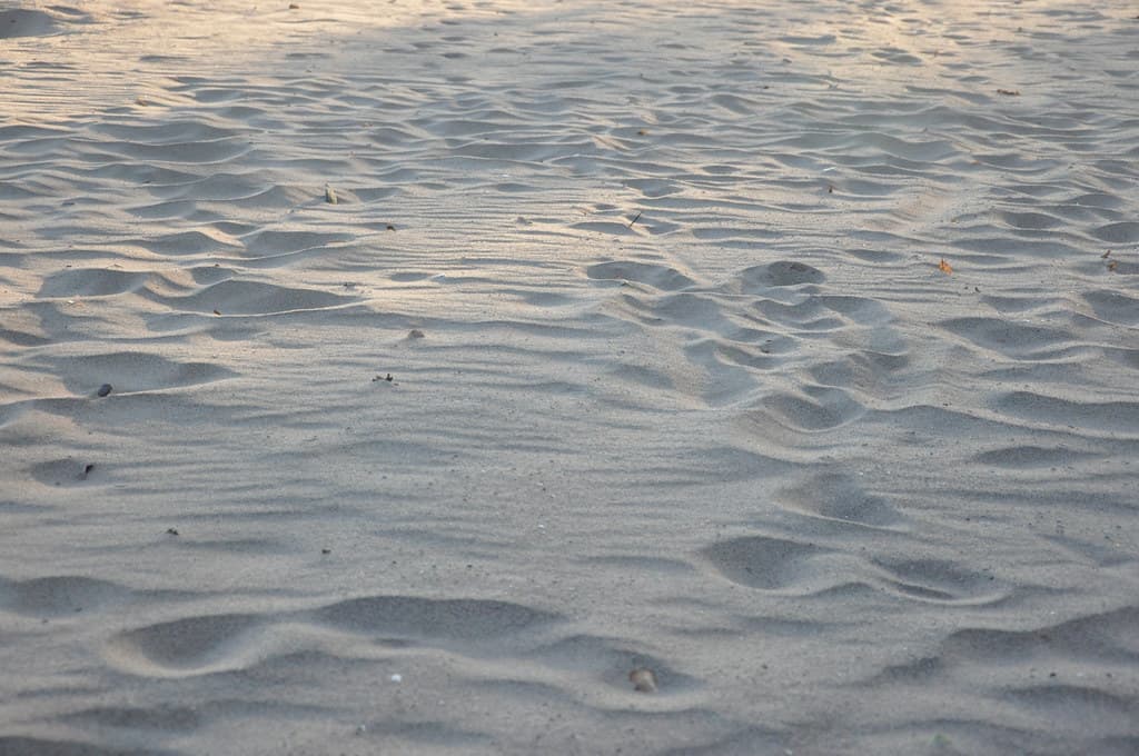 Beach at Wolfe's Pond Park
