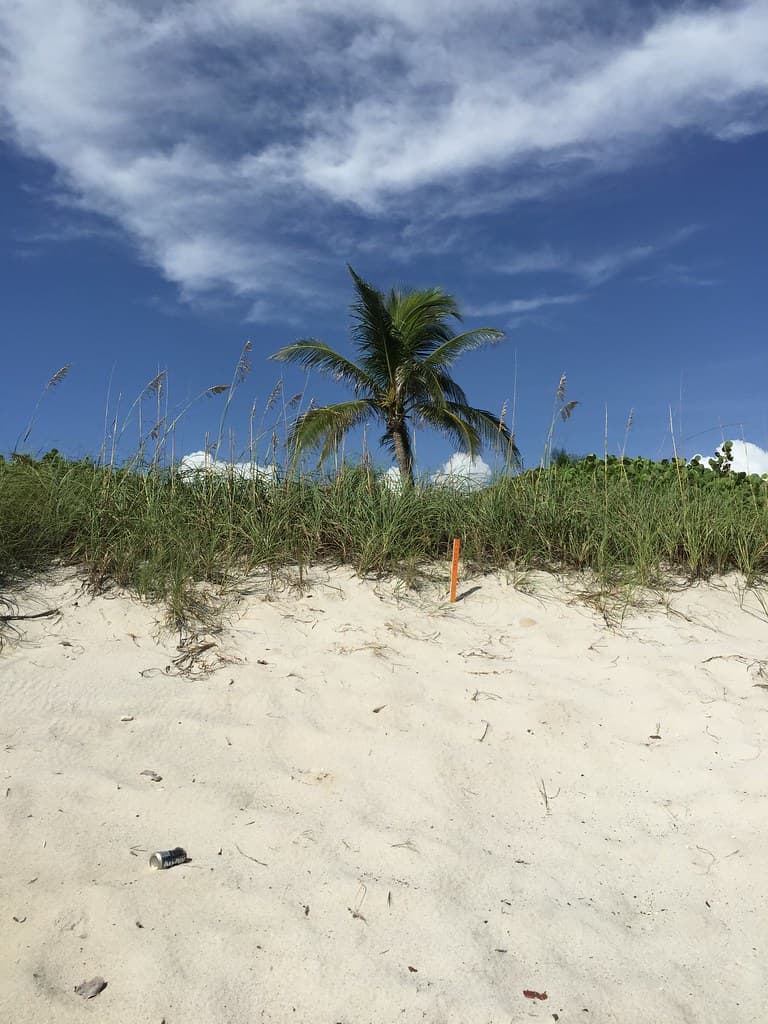 Blue Skies White Dune