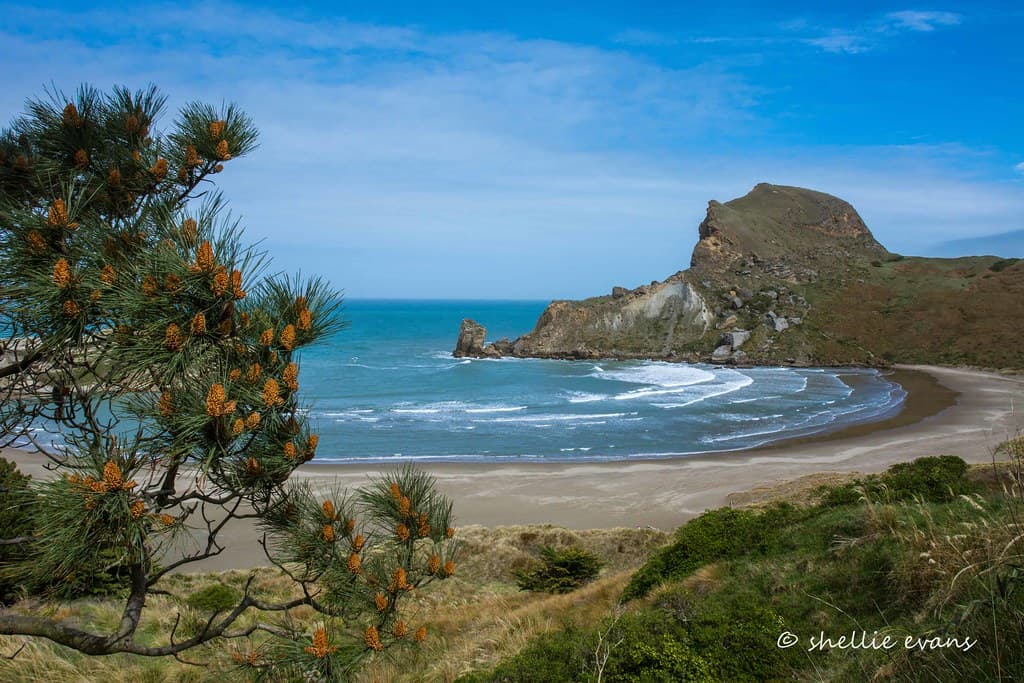 Deliverance Cove Walk, Castlepoint, Wairarapa