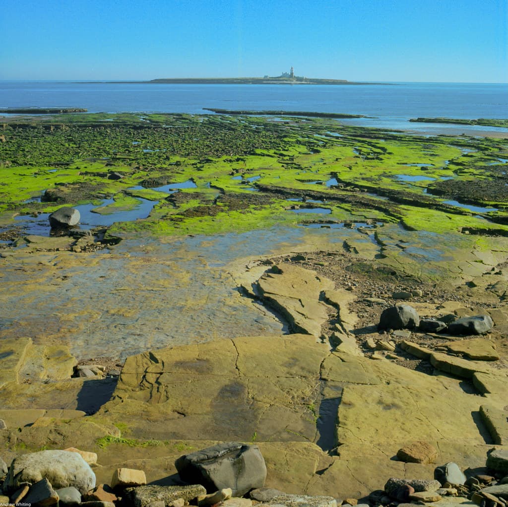 Hauxley Beach