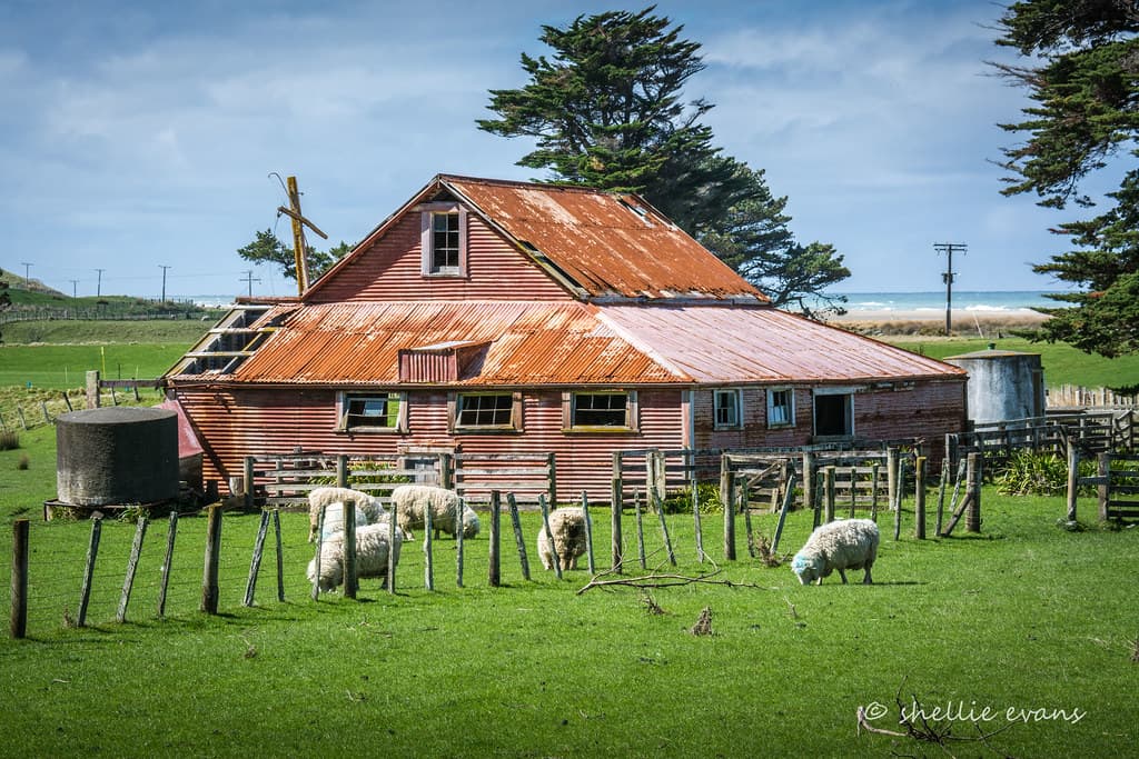 Herbertville Woolshed, Southern Hawkes Bay