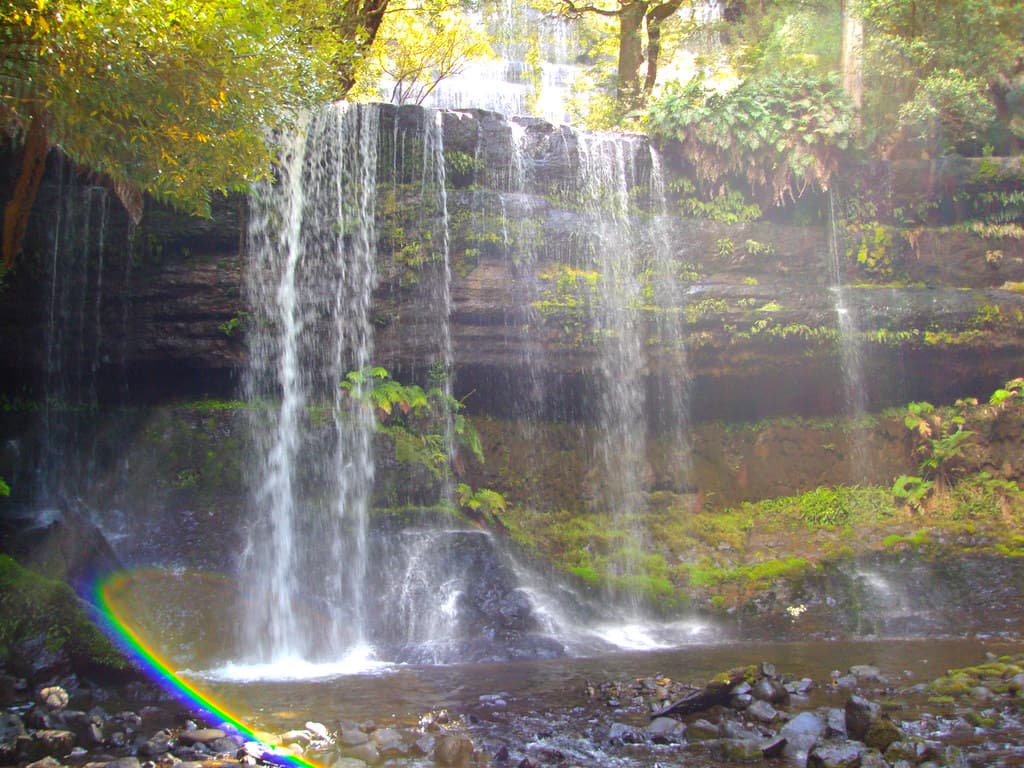 Rainbow. Mt Field National Park.  Ferns and waterfalls. Rainbow circle.
