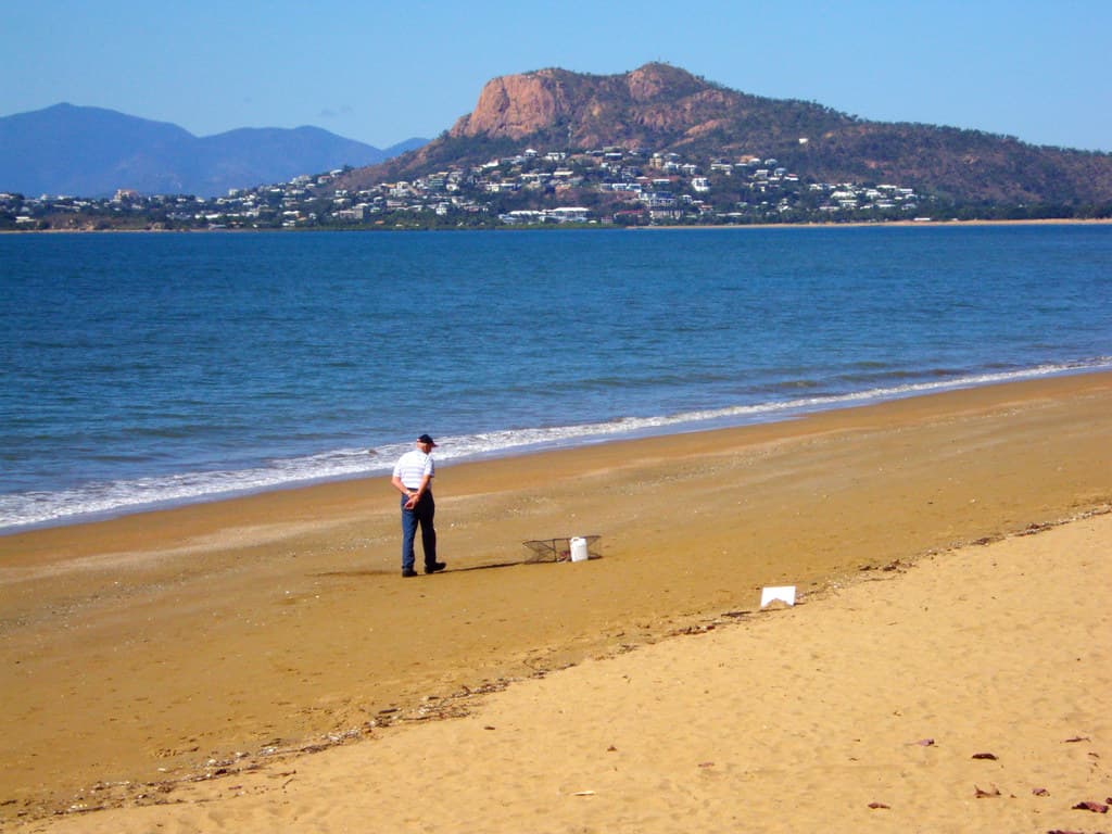 Townsville. Turtle on the beach in a cage.