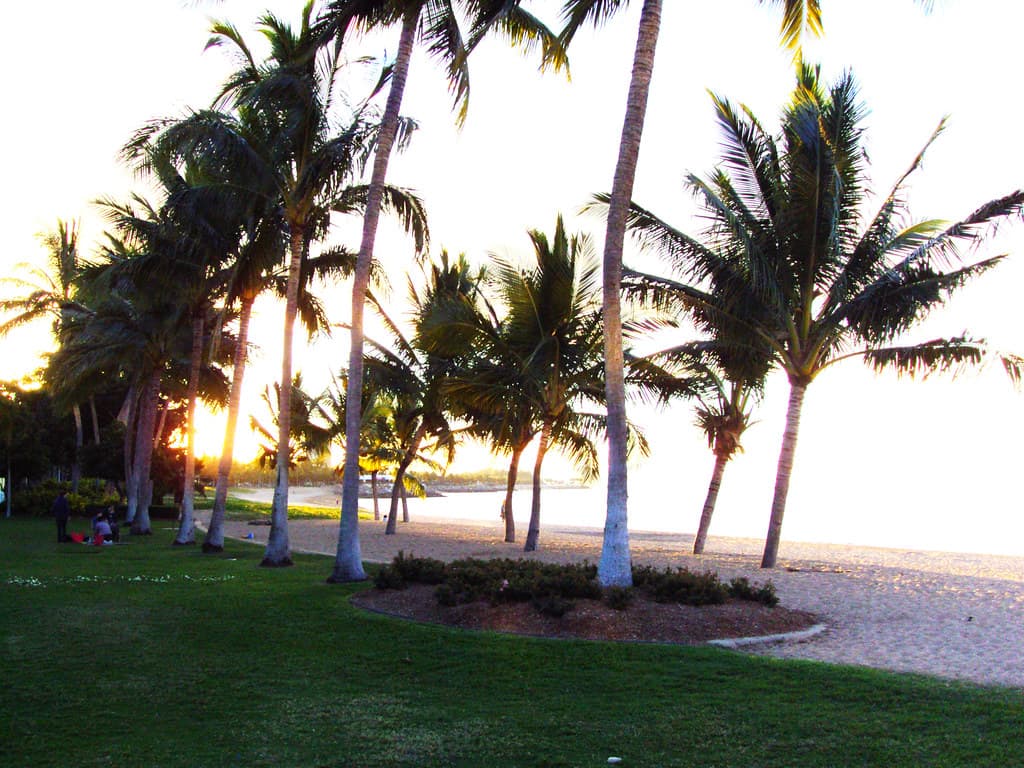 Sunset on the Strand or Esplanade in Townsville.